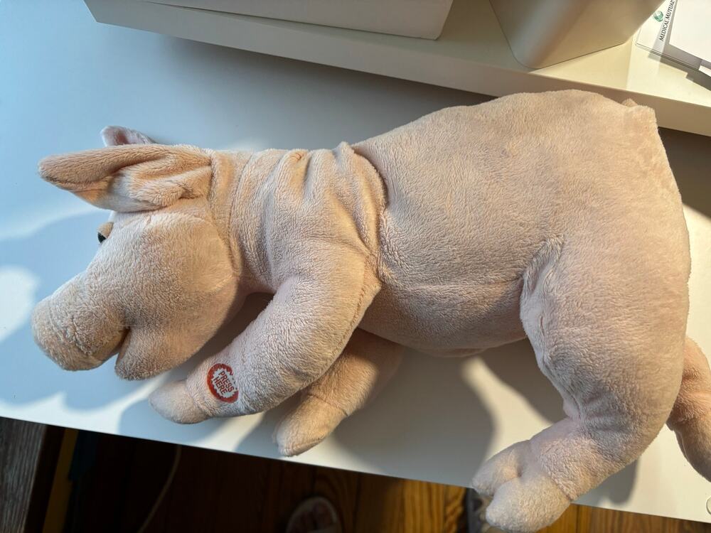 TL Toys HK LTD Snoring pink pig plush batteries WORKS RARE